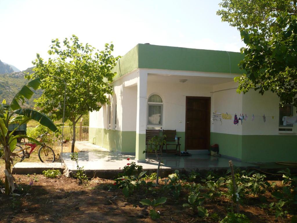 Kiyi Pansiyon Çıralı Kamer foto