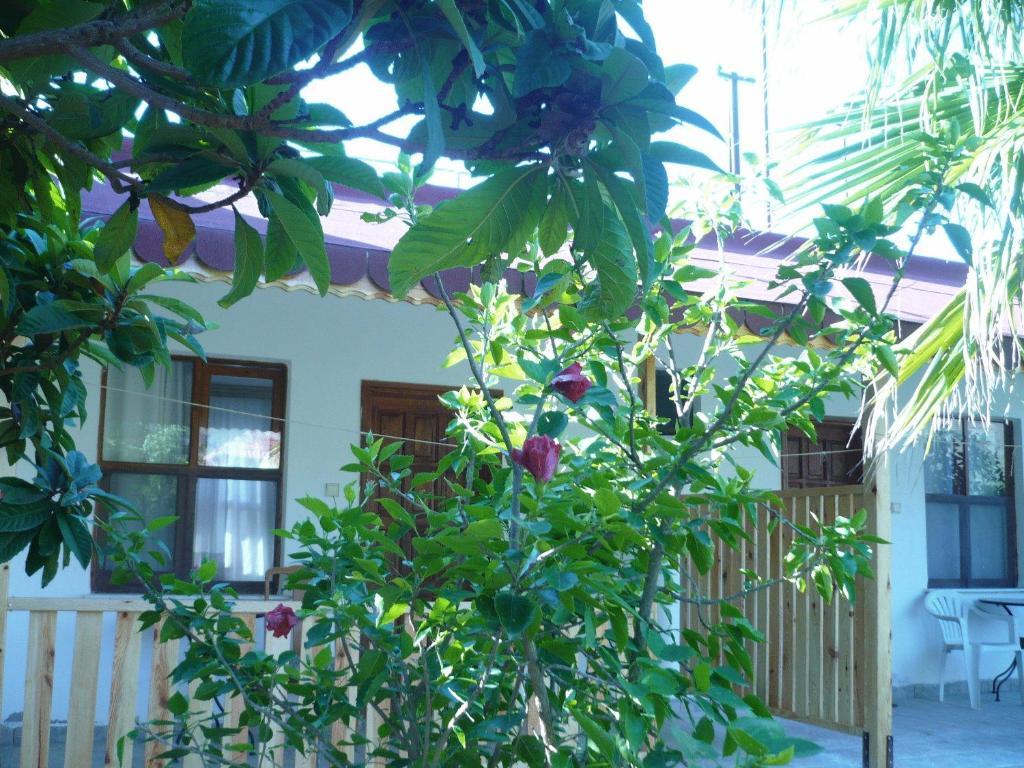 Kiyi Pansiyon Çıralı Buitenkant foto